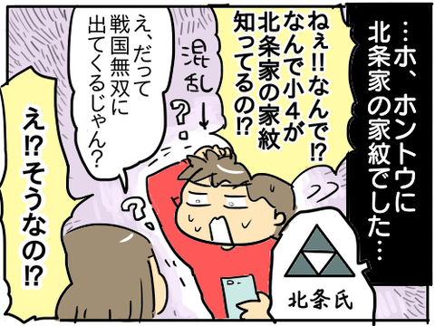 北条家の家紋5