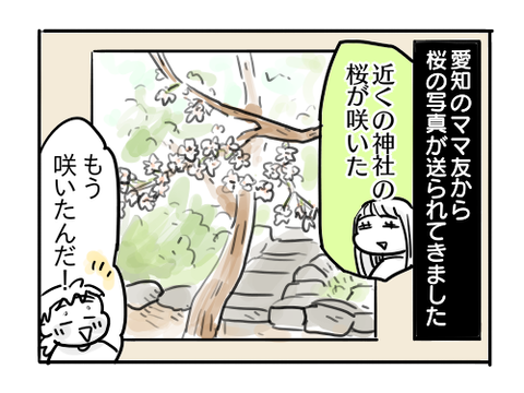 近況494