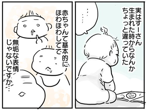 すーさん2