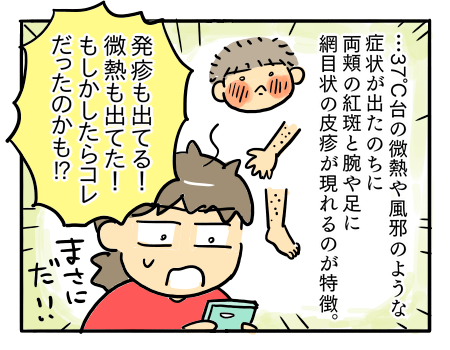 日常311