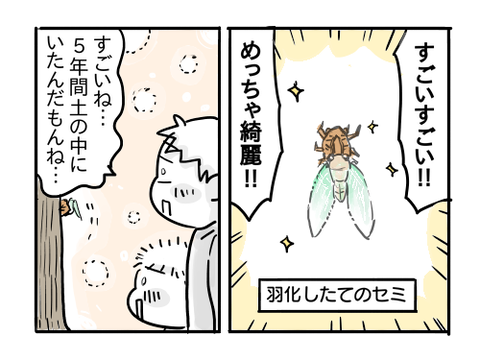 近況1359