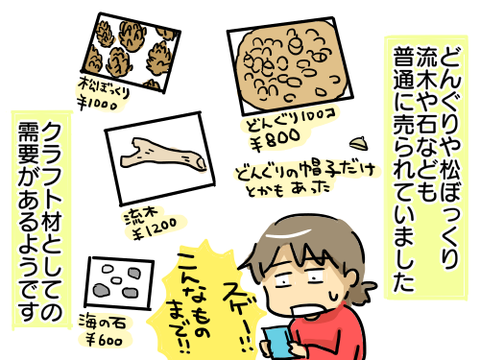 どんぐり12