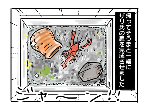 近況986