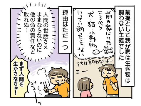 近況979