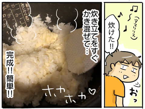 6Pチーズご飯5