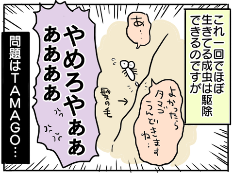 シラミ21