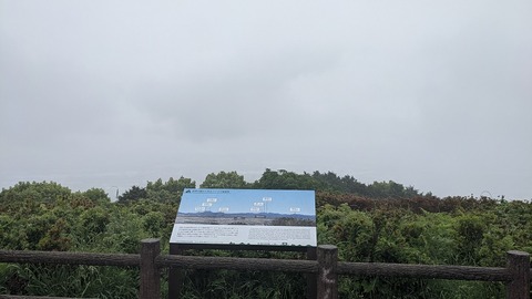 PXL_20220506_040301177