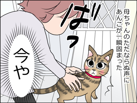あんこ&麦STORY1515b