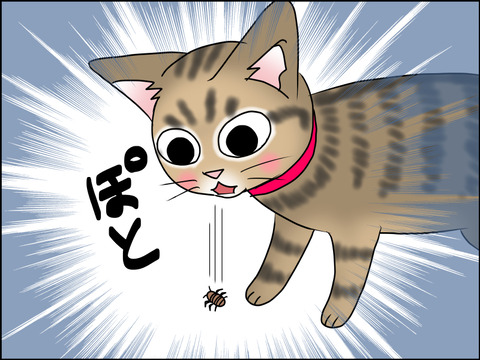 あんこ&麦STORY1488c