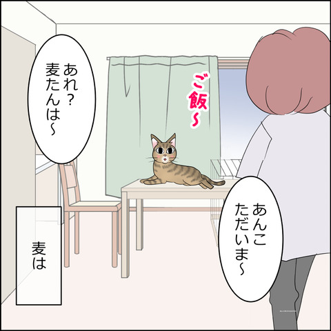 あんこ＆麦STORY2330c