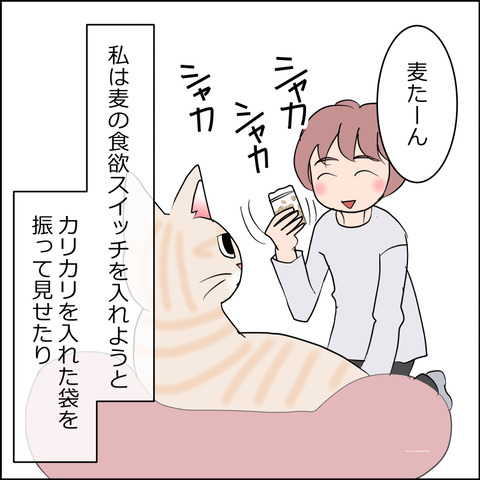 mugitabi010a