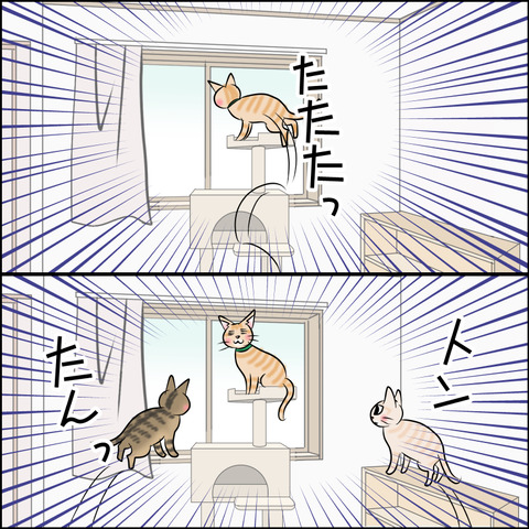 あんこ＆麦kenko86b