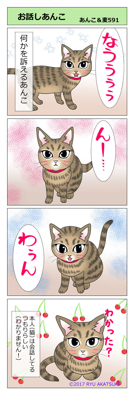 あんこ&麦STORY591