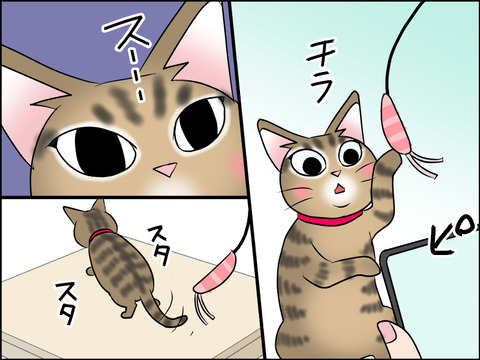 あんこ&麦STORY1548c