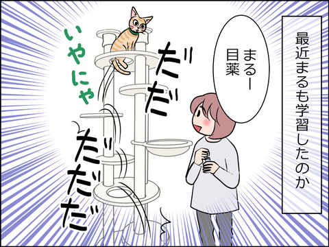 あんこ&麦STORY1540a