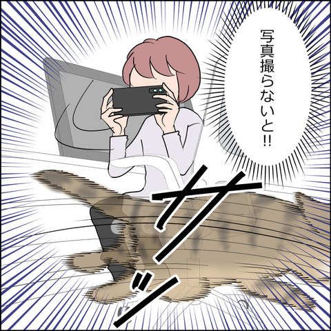 あんこ&麦STORY2446b