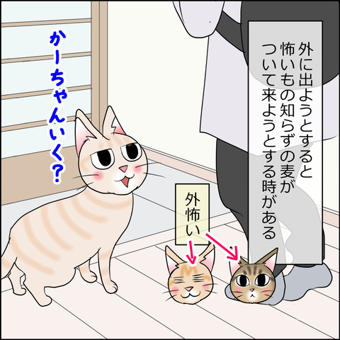 あんこ＆麦STORY2384b