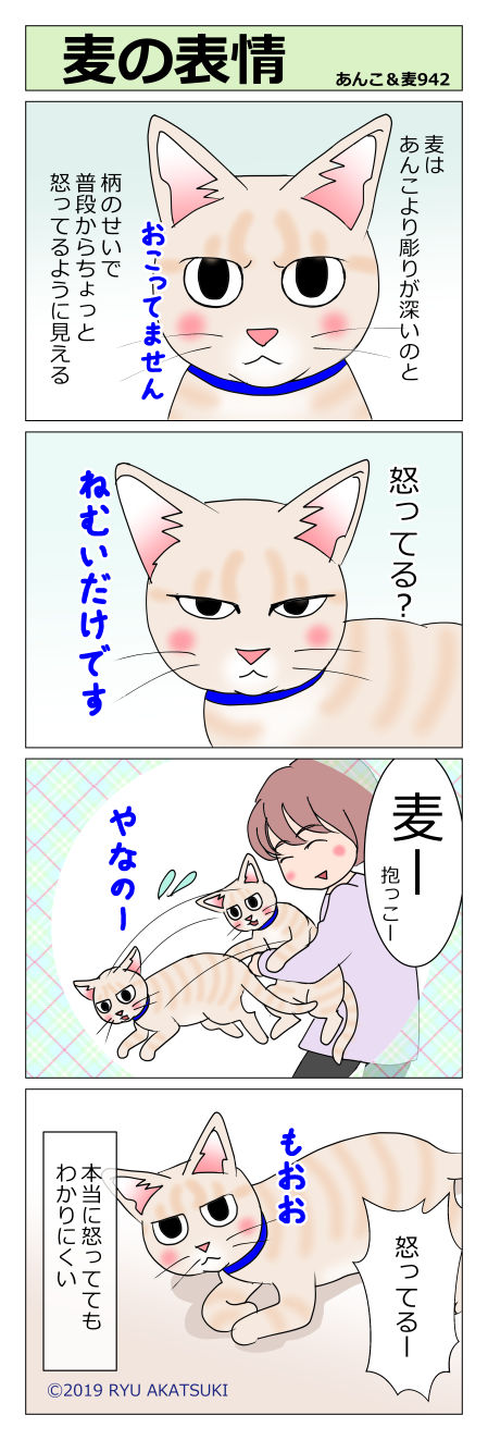 あんこ&麦STORY942