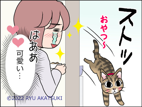 あんこ&麦STORY1631d