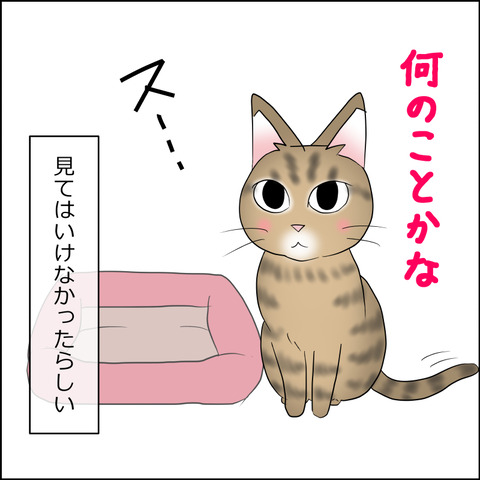 あんこ＆麦STORY2265d