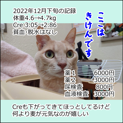 あんこ＆麦kenko74e