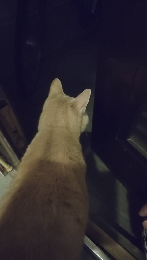 Screenshot_20251014-155434