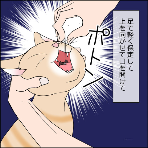 あんこ&麦kenko160b