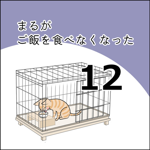 あんこ&麦kenko162@