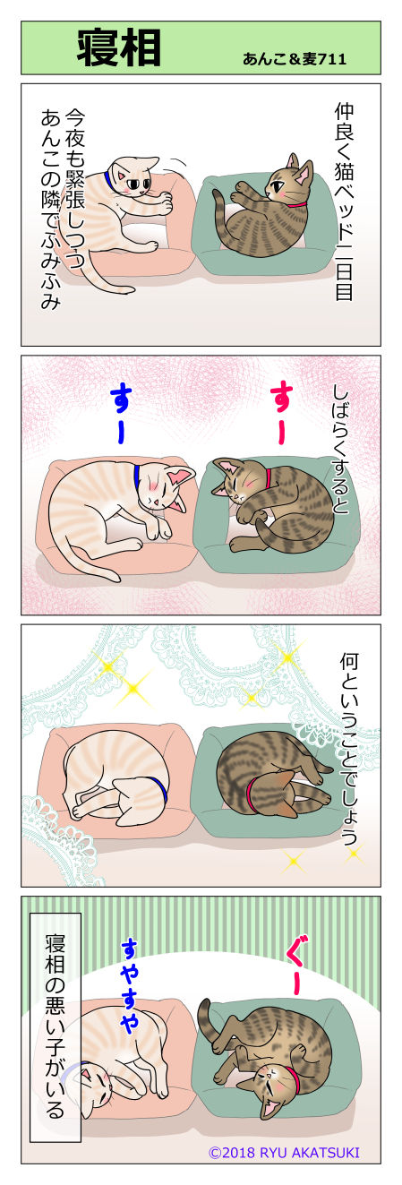 あんこ&麦STORY711