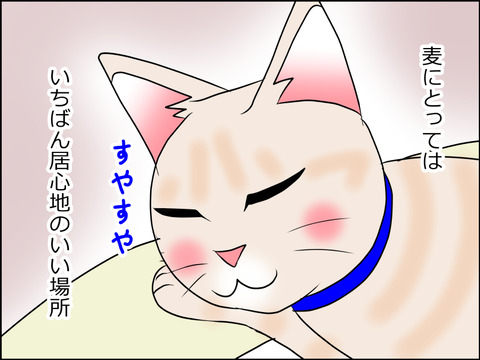 あんこ&麦STORY1573b