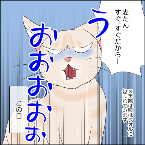 あんこ＆麦kenko104c