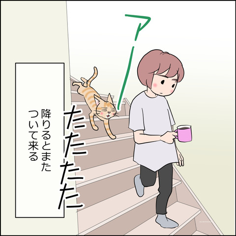 あんこ＆麦STORY2468c