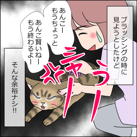 あんこ＆麦kenko54b