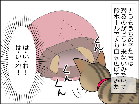 あんこ&麦STORY1473c