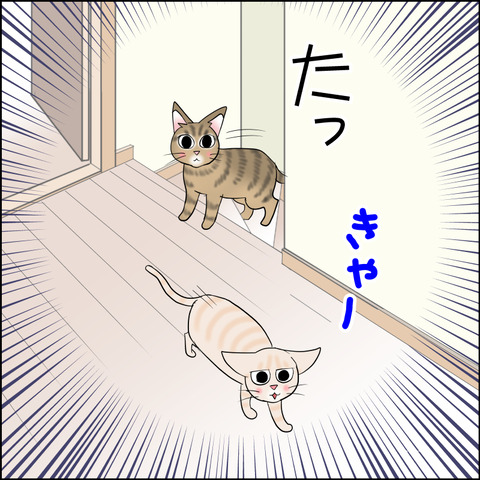 あんこ＆麦STORY2214h