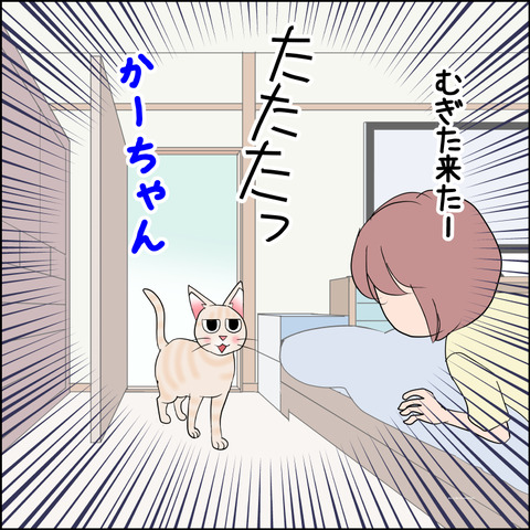 あんこ＆麦STORY2338c