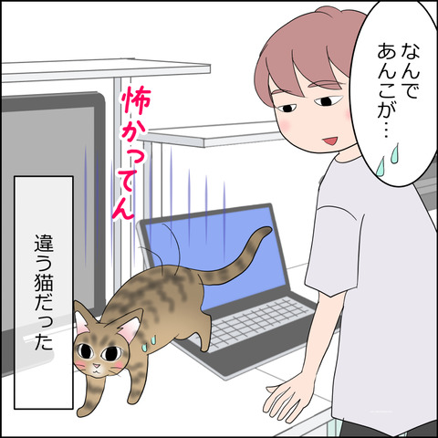 あんこ＆麦STORY2349d