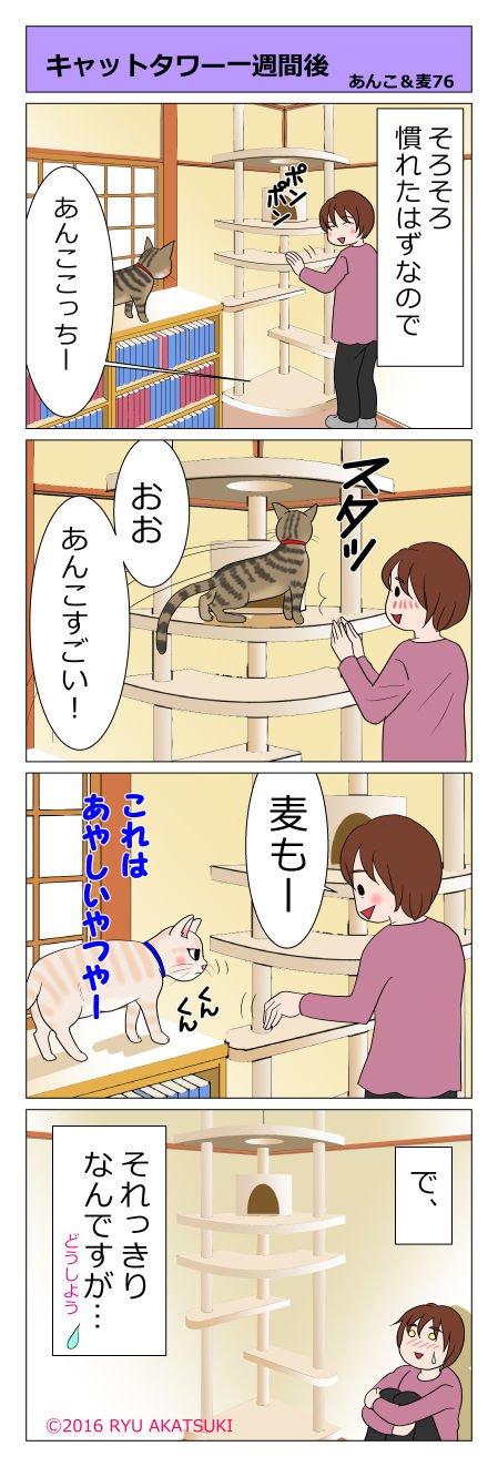あんこ&麦STORY76