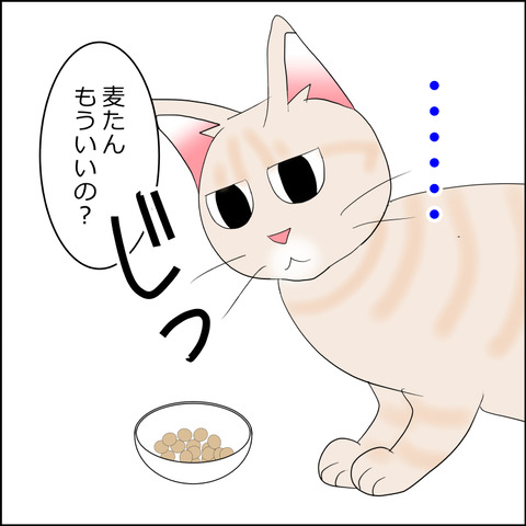 あんこ＆麦STORY2340b