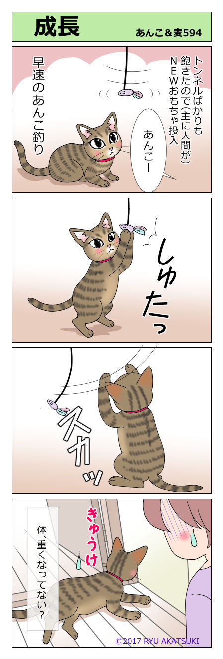 あんこ&麦STORY594