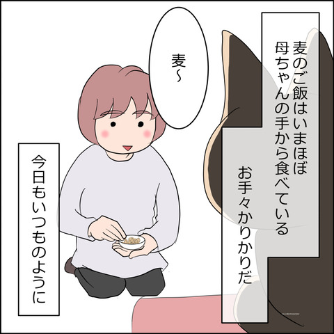 あんこ＆麦STORY2241a