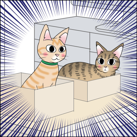 あんこ＆麦STORY1976c