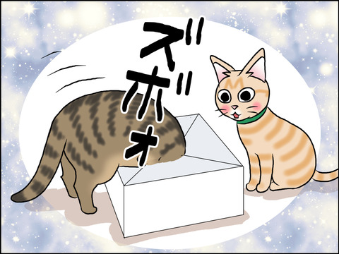 あんこ＆麦STORY1558c