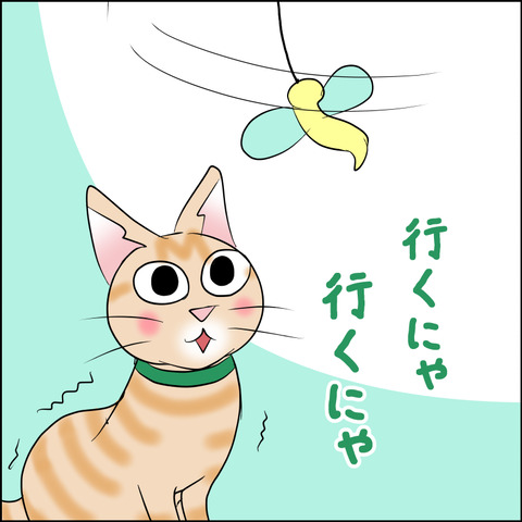 あんこ＆麦STORY1736b