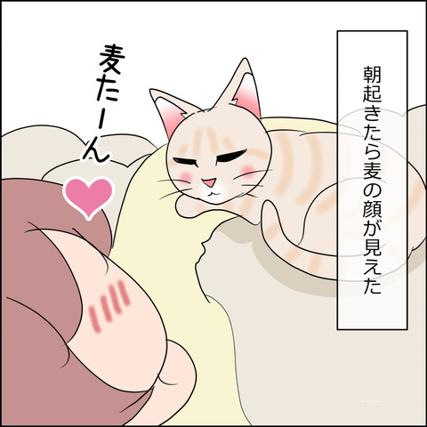 あんこ＆麦STORY2400a