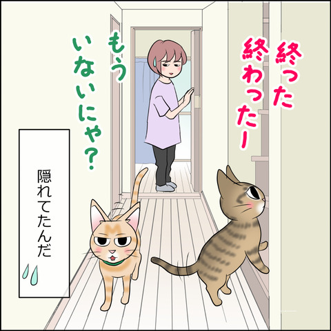 あんこ＆麦STORY2115d