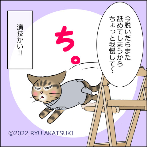 あんこ＆麦kenko45d