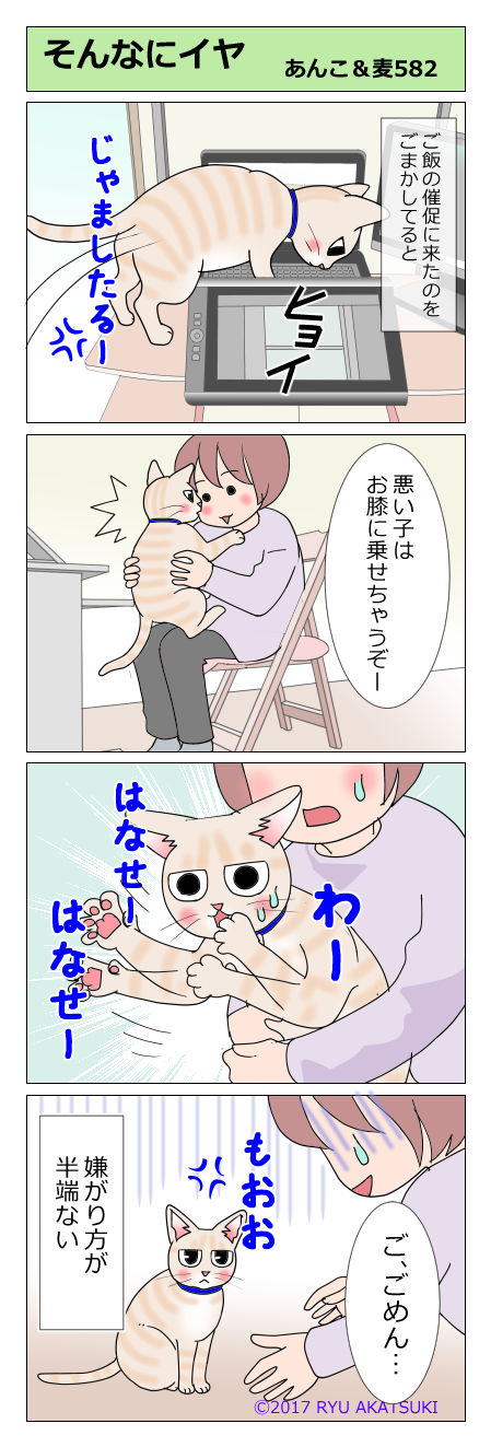 あんこ&麦STORY582