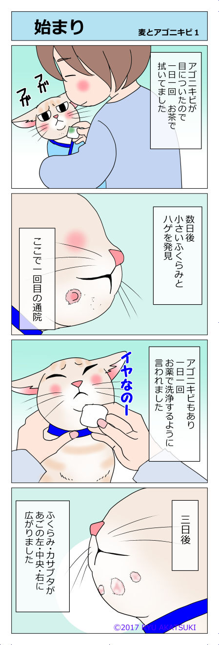 あんこ&麦kenko09