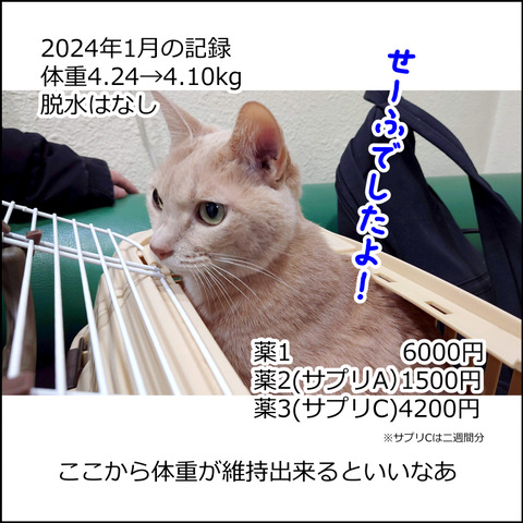あんこ＆麦kenko93e